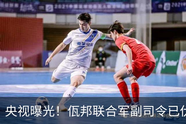 央视曝光！佤邦联合军副司令已伏法，蛇蝎美人白应兰还能躲多久？